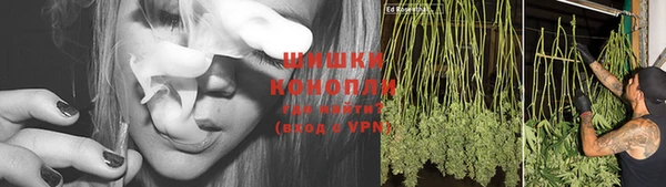стафф Аркадак