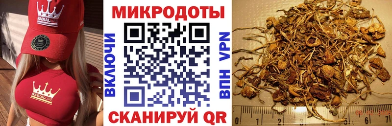 Галлюциногенные грибы прущие грибы  кракен tor  Чкаловск  как найти закладки 