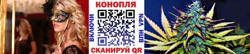 купить наркотики цена  Чкаловск  Каннабис планчик 